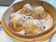 -唐阁海景中餐厅·早茶·粤菜•生日聚餐(海口朗廷酒店)