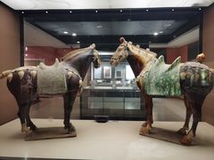 -西安大唐西市博物馆