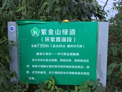 -紫霞湖公园