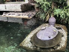 -鼎湖山风景区