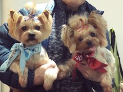 -Oh My Dog宠物沙龙(伊珊娜皮毛护理店)