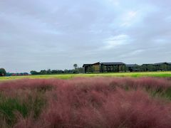 -中国天府农业博览园