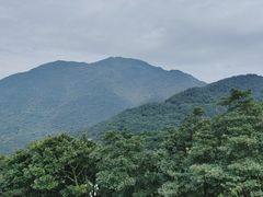 -梧桐山风景名胜区