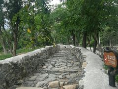 -阳台山自然风景区