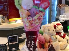 -哈根达斯(合肥天鹅湖店)