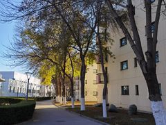 -北京国家会计学院