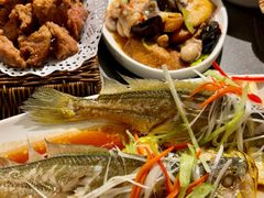 -前海沿·青岛菜(大拇指广场石老人店)