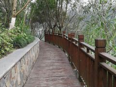 -重庆彩云湖湿地公园