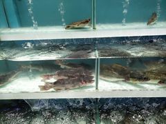 -盒马鲜生(财富中心店)