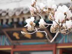 -颐和园