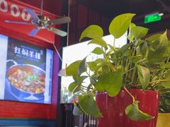 -骨气鼓气羊棒骨·羊蝎子(住总万科广场店)