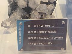 -金钉子远古世界景区