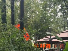 -林间山庄