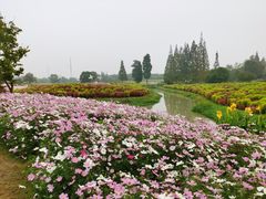-花开海上生态园