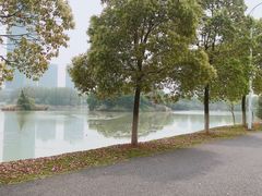 -艾溪湖湿地公园