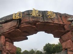 景点-上海海湾国家森林公园