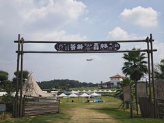 -空港花田景区