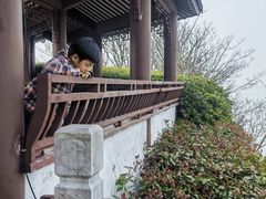 -巢湖姥山岛