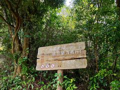 -梧桐山风景名胜区