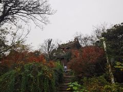 -宝界山林公园