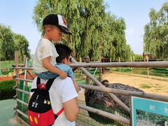 -羊亭河湿地公园