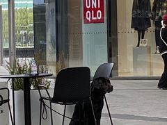 -Seesaw Coffee(苏州中心店)