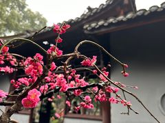 -成都杜甫草堂博物馆