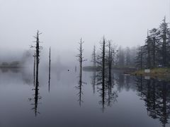 -瓦屋山景区