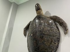 -游龙石文化科普馆