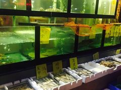 水产区-湛江明记(湛江鸡湛江生蚝)