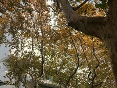 -一尺花园(安和花园店)