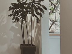-怪 kafe.