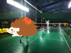 -东丽温泉羽毛球