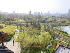 -桃花岛公园