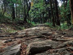 -溪口商量岗景区