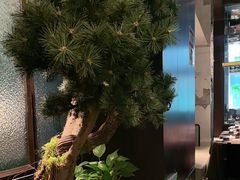 -箪食巷私房菜馆·鲁菜(玉函路店)