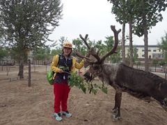 iphone_upload_pic-北京鹿世界主题园