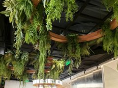 -鱼酷活鱼烤鱼(新世界城店)