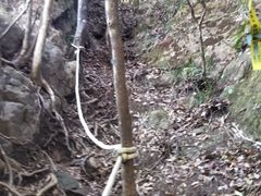 -鸡枕山