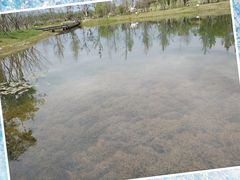 -白鹭湾湿地公园
