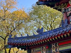 -灵谷景区