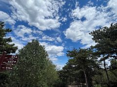 -北京西山国家森林公园