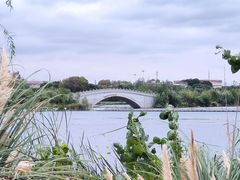 -东湖生态旅游风景区