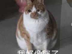 -大咀港式茶餐厅(海岸城店)