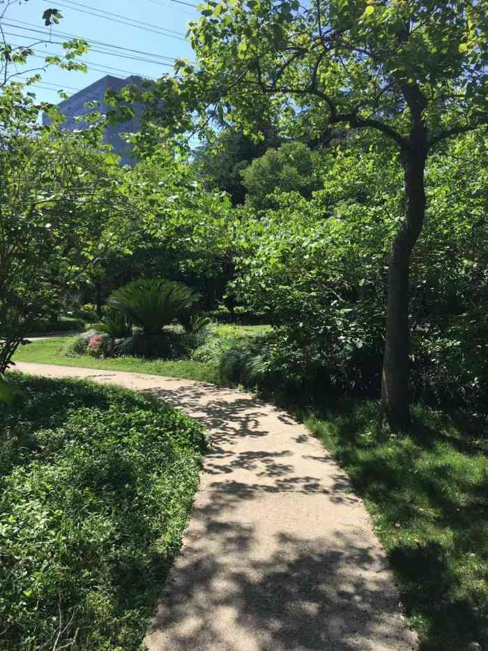 漕河泾开发区公园