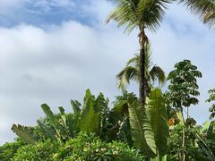 -西双版纳融创皇冠假日度假酒店