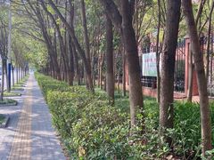 -雪琴面馆富安特色鱼汤面(城中花园店)