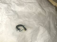 -蔡先生(双阳路店)