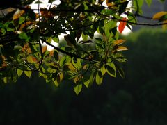 -杭州城北体育公园