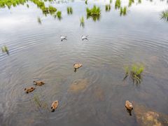 -花湖生态旅游区